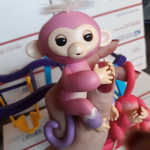 2 fingerlings with playset - Picture 4 of 8